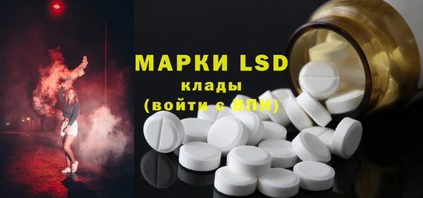 стафф Надым