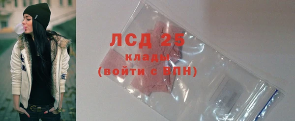 спиды Новодвинск