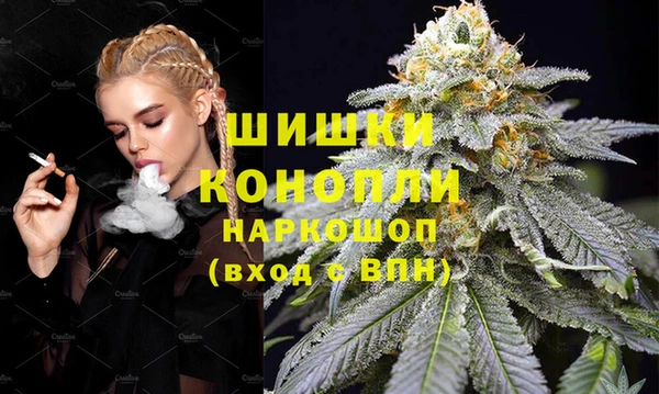 гидропоника Алзамай