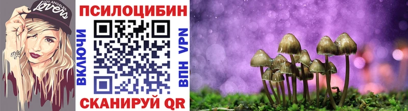 darknet формула  Алупка  Псилоцибиновые грибы мицелий 